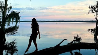 ULTIMATE GAINESVILLE FLORIDA TRAVEL GUIDE | Gainesville attractions