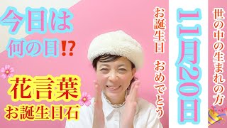 【毎日発見】今日は何の日⁉️11月20日生まれの花言葉と誕生日石🎉