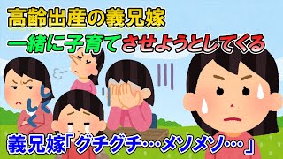 【2ch修羅場】高齢出産の義兄嫁は「私さんが第2の母レベルで手伝うのが当然」と信じていた→私「アホなこと抜かすな、私は面倒見ない」義兄嫁「ズルい！」【ゆっくり解説】