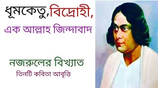 নজরুলের বিখ্যাত তিনটি কবিতা আবৃত্তি / নজরুলের কবিতা / কাজী নজরুলের কবিতা / nozrul er kobita