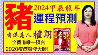 奇門遁甲算命師傅 權朗｜生肖豬2024運程預測｜甲辰年十二生肖財財富 事業 愛情 健康 運勢