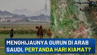 Menghijaunya Gurun Tandus di Arab Saudi dan Hadits tentang Datangnya Hari Kiamat