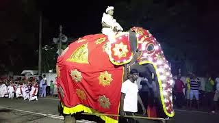 Traditional Dancing Show#Galapatha Vihara Perahera