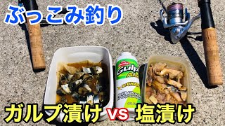 【ぶっこみ釣り】「ガルプ漬け」と「塩漬け」どっちのエサが釣れるかやってみた