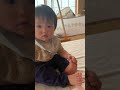 絵本好きな次男♡絵本好き兄弟📕 1歳2ヶ月 1歳 赤ちゃん 赤ちゃんのいる生活 1才児 年子兄弟 育児日記 かわいい 絵本の読み聞かせ 絵本 絵本好き 絵本動画 だるまさん