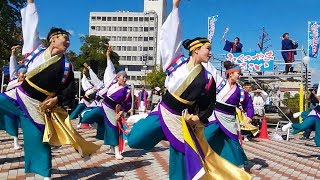 風舞輝 ～fubuki～ ばら花壇裏 ふくのやまよさこい 2018