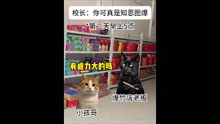 校长：你可真是知恩图爆啊！ #学校 #开学 #学生 #寒假 #寒假作业  #猫meme #cat #迷恋  #萌宠 #funny #貓  #pets #萌寵 #cute #猫meme小剧场