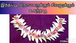 எருகம்பூ மாலை கட்டுவது எப்படி? | erukkam Vinayagar malai | How to tie Calotropis garland | erukkam