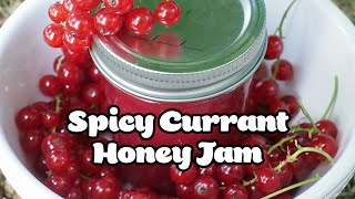 Spicy Currant Honey Jam