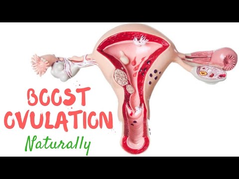 Natural Home Remedies To Boost Ovulation And Fertility Natural Home Remedies To Boost Ovulation And Fertility
