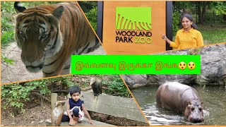 அமெரிக்காவில் அரிய வகை உயிரினங்கள் ஒரே இடத்தில் | Usa Tamil Vlog | Woodland Park Zoo | Pudhumai Sei