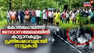 Wild Elephant Attack : കോതമംഗലം കീരംപാറയിൽ ജനവാസമേഖലയിൽ കാട്ടാനകൂട്ടം ; പ്രതിഷേധവുമായി നാട്ടുകാർ