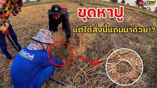 ไปหาขุดปู แต่ได้สิ่งนี้แถมมาด้วย!? มันคืออะไร