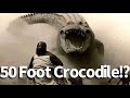 50 Foot Crocodile Seen in the Congo