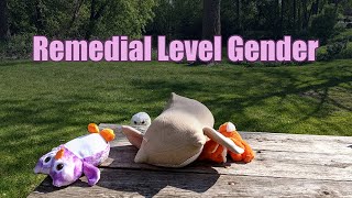 Gender - Remedial Level | CritFacts