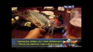 On The Spot - 7 Serangan Hewan Laut yang Berbahaya