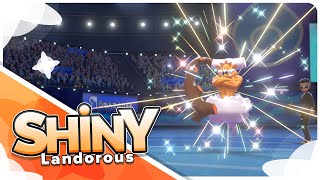 [Live] Shiny Landorus in 16 Max Raid Adventures in Crown Tundra!