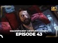 Magnificent Century: Kosem Episode 43 (English Subtitle) (4K)