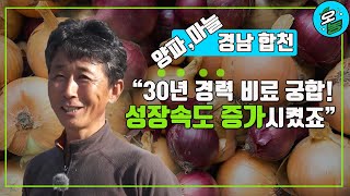 #양파#마늘 재배시 가장 중요한 것!!