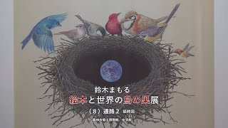 鈴木まもる　絵本と世界の鳥の巣展（藤枝）　第８回（最終回）