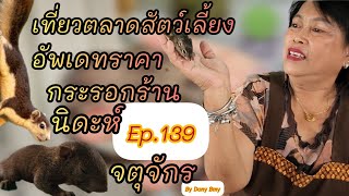 เที่ยวตลาดสัตว์เลี้ยง Ep.139|อัพเดทราคากระรอกร้านนิดะห์|#ตลาดจตุจักร #Chatuchakmarket