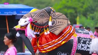 2019 Kyaukse Elephant Festival Winner Min Min Naing Elephant Dance (ကျောက်ဆည်ဆင်အက)