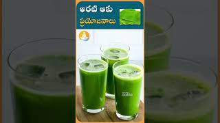 అరటి ఆకు అద్భుత ప్రయోజనాలు| #drcalmssanjeevani #ytshorts #bananaleaf #banana #food #health #organic