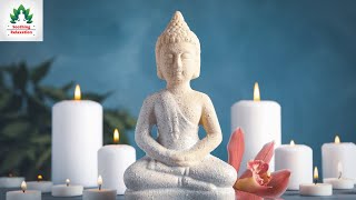 Tibetan Singing Bowls Meditation Music | Spiritual Awakening | Mindfulness | Meditative Mind,Healing