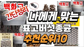 2024년 가성비대박  표고버섯종균 추천순위 TOP10