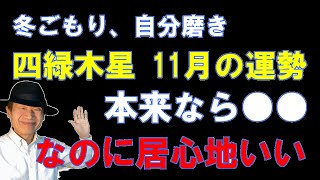 【風水、四緑木星、11月の運勢】2023年、真冬で深夜だけど、居心地は良い