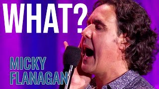 Understanding the Cleaner | Micky Flanagan - An' Another Fing Live