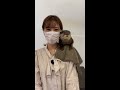 20220106 tiktok 堤礼実 カワウソ赤ちゃん