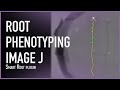 Root phenotyping: measuring roots with ImageJ SmartRoot plugin