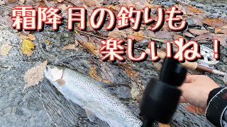 初霜月の釣りも楽しいね！【北海道フライフィッシング】