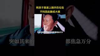 熊孩子高速上随手扔垃圾，不料因此酿成大祸