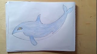 تعليم الرسم....رسم حوت خطوة بخطوة للاطفال والمبتدئين..Drawing a whale is very easy