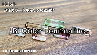 Color's Jewelry Vlog  バイカラートルマリン　Bicolor Tourmaline