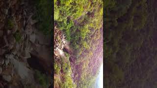 📍Bankuli Waterfalls, Odisha. View from a birds eyes 😁 #drone #dronevideo #odisha #dronephotography