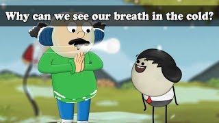 Why can we see our breath in the cold? | #aumsum #kids #science #education #children