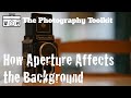 How Aperture Affects Background - The Photography Toolkit