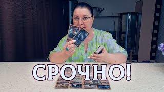 ВОТ ЭТО НОВОСТИ! ЧТО ПРОИСХОДИТ С НИМ ПРЯМО СЕЙЧАС?