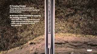 Progressing Cavity Pump (PCP) System