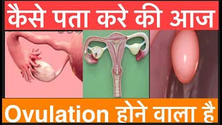 Periods के कितने दिन बाद गर्भधारण होता है ? Symptoms of Ovulation