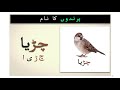 parindon ke naam birds name in urdu پرندوں کے نام learn birds in urdu