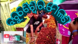 jajapur baruneswar mela ବରୁଣେଶ୍ବର ମେଳା