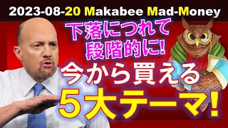 【米国株】今から買いを考えるべき５大テーマ！下落につれて、ゆっくりと段階的に！【ジムクレイマー・Mad Money】