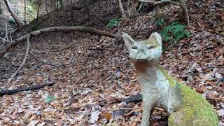 ダム湖の水抜いてみた❓         周辺の山詮索