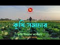 কৃষি সমাচার।। Krishi Somachar।। ০৪ অক্টোবর, ২০২৪