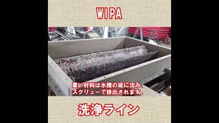 WIPA　洗浄ライン