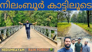 NEDUMKAYAM RAIN FOREST | NILAMBUR | MALAPPURAM#nilambur #nedumkayam #travel #tribe #village #forest